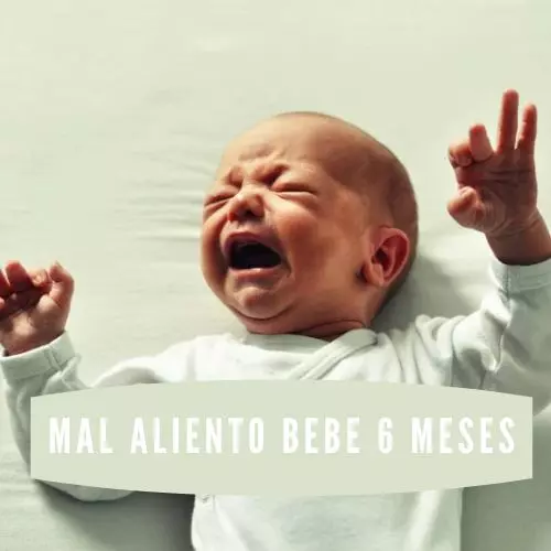 Mal Aliento Bebe 6 Meses [2022]
